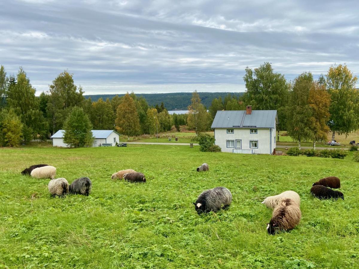 Vildmarksgard Lillviken Strömsund Dış mekan fotoğraf