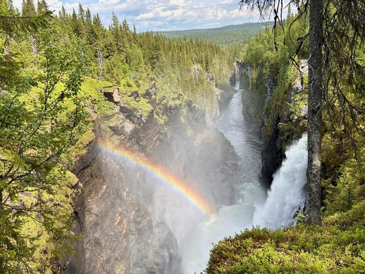 Vildmarksgard Lillviken Strömsund Dış mekan fotoğraf