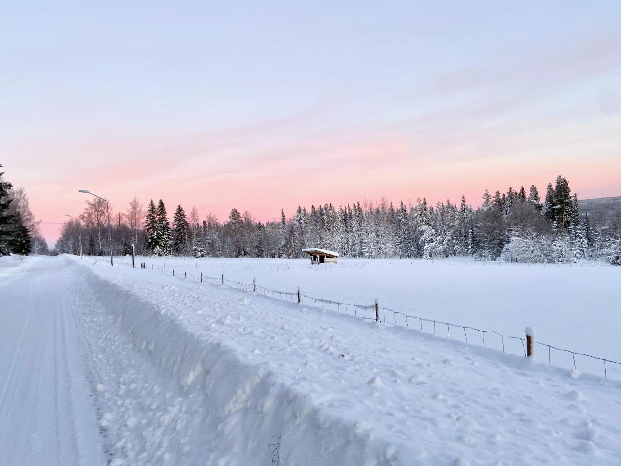Vildmarksgard Lillviken Strömsund Dış mekan fotoğraf